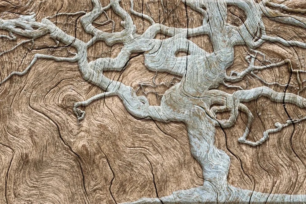 Tapeta abstraktný maľovaný strom v béžovom prevedení