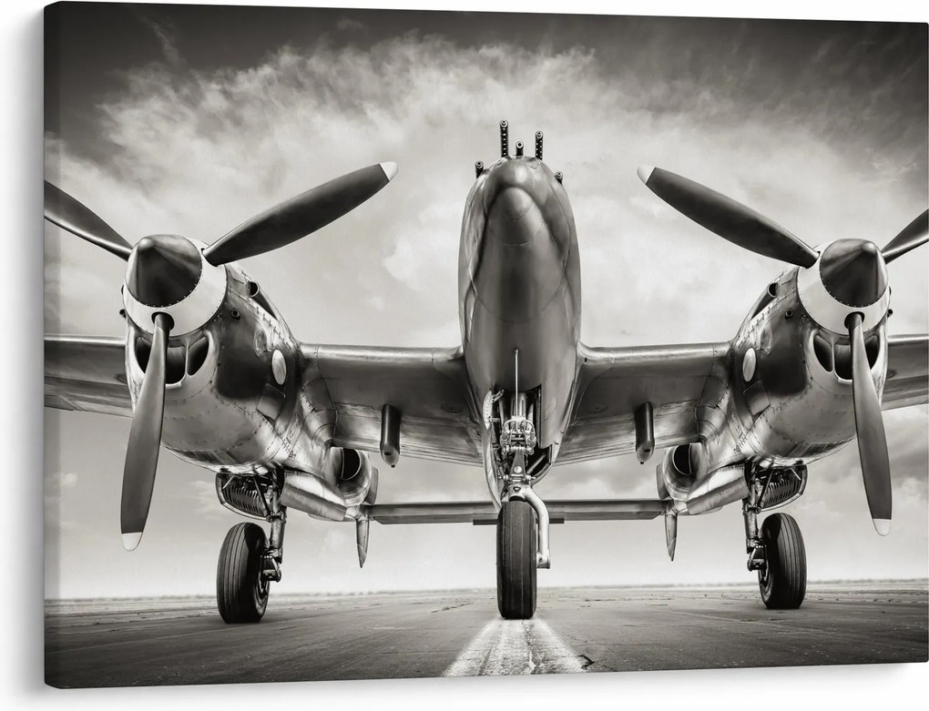 Obraz - Warbird (70x50 cm)