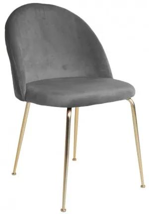 Jídelní židle GENEVE šedý samet,mosazné nohy House Nordic 1001252