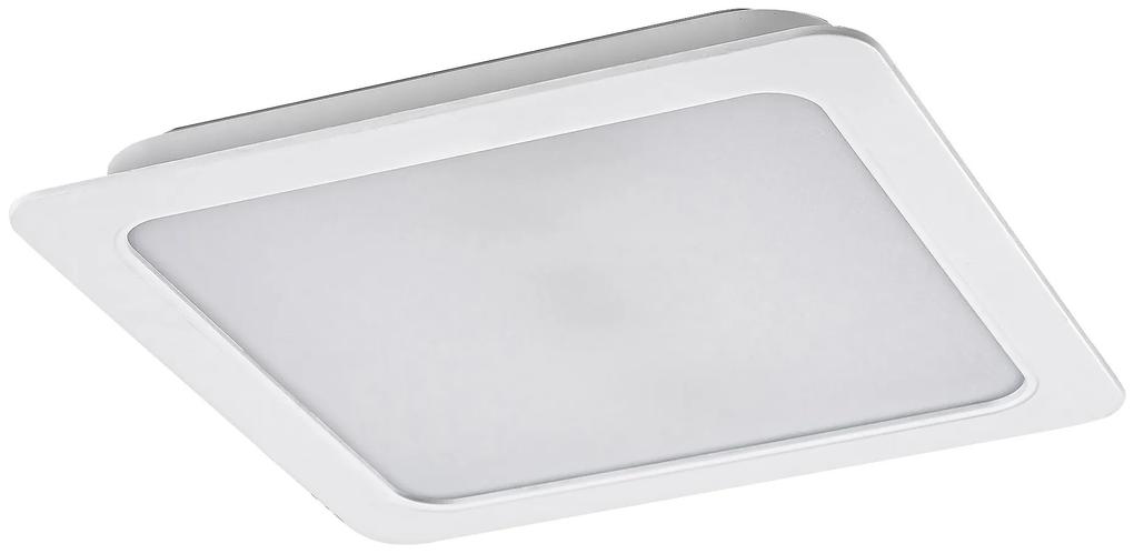 RABALUX Stropné svietidlo LED SHAUN, 12 W, denné biele svetlo, štvorcové, biele