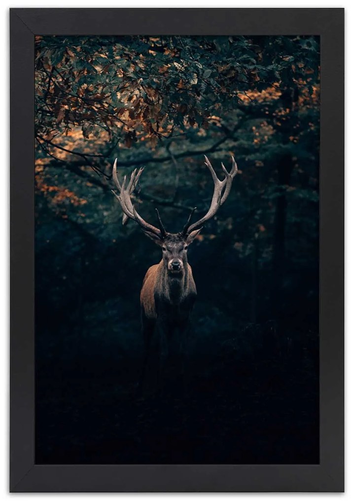 Gario Plagát Jeleň v kríkoch Farba rámu: Bez rámu, Rozmery: 40 x 60 cm