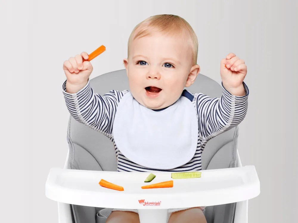 Stolička na kŕmenie set 6v1 ZA4142 - sivá