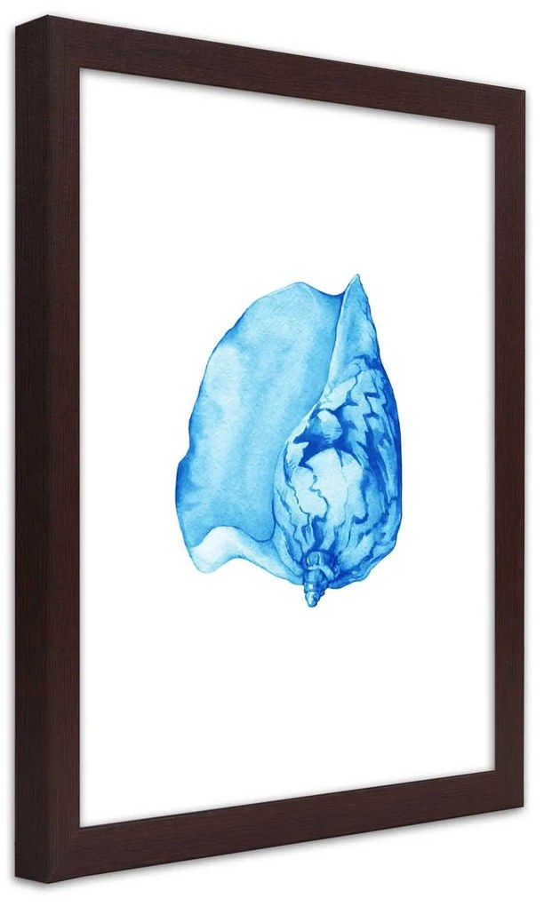 Gario Plagát Akvarel shell Farba rámu: Bez rámu, Rozmery: 20 x 30 cm