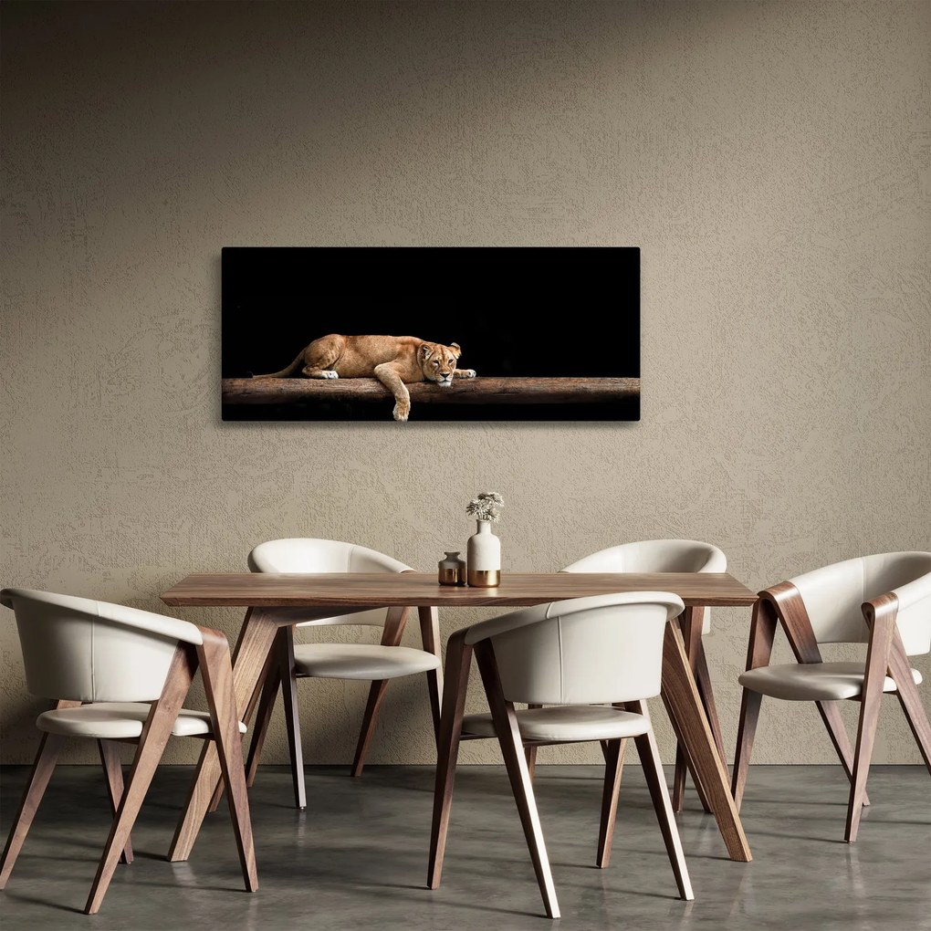 Obraz - Levice (120x50 cm)