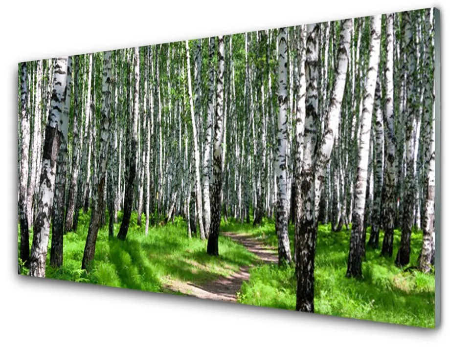 Obraz na akrylátovom skle Stromy tráva príroda 140x70 cm
