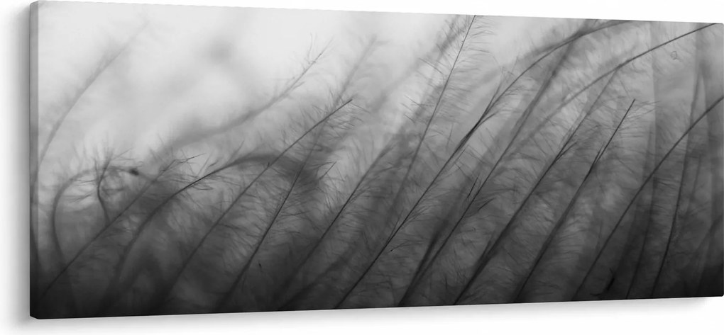 Obraz - Tráva vo vetre (120x50 cm)
