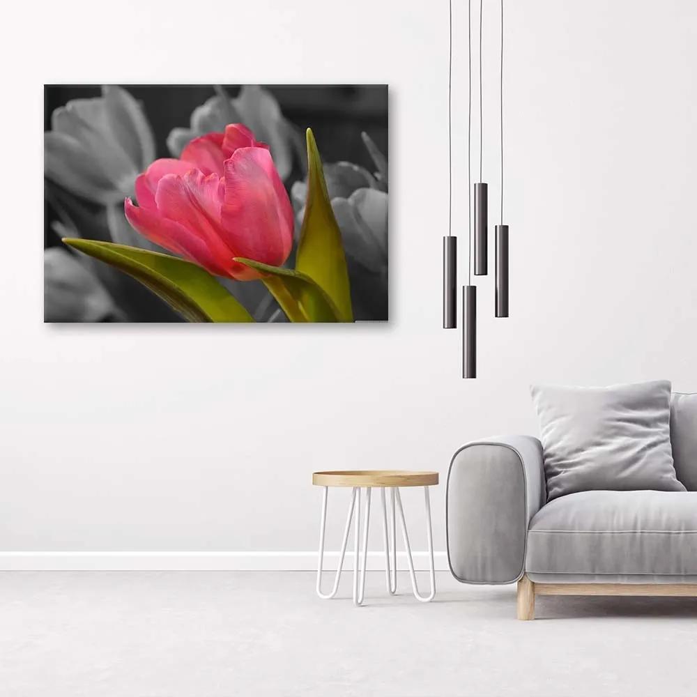 Obraz na plátně Červené tulipány Květy Příroda - 120x80 cm