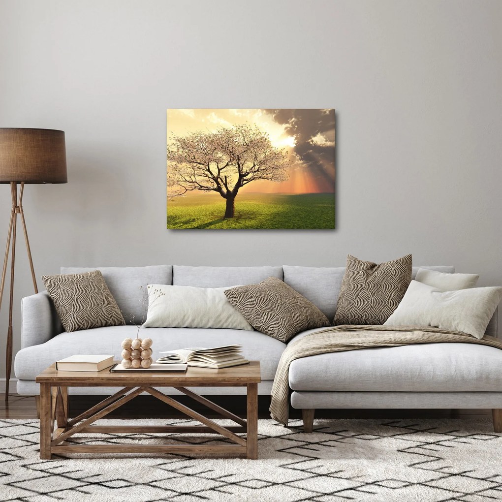 Obraz stromu na lúke (70x50 cm)