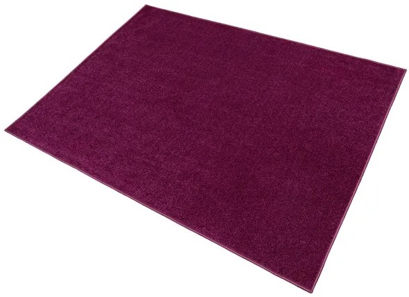 Koberec CAROUSEL 114 NSF fialový