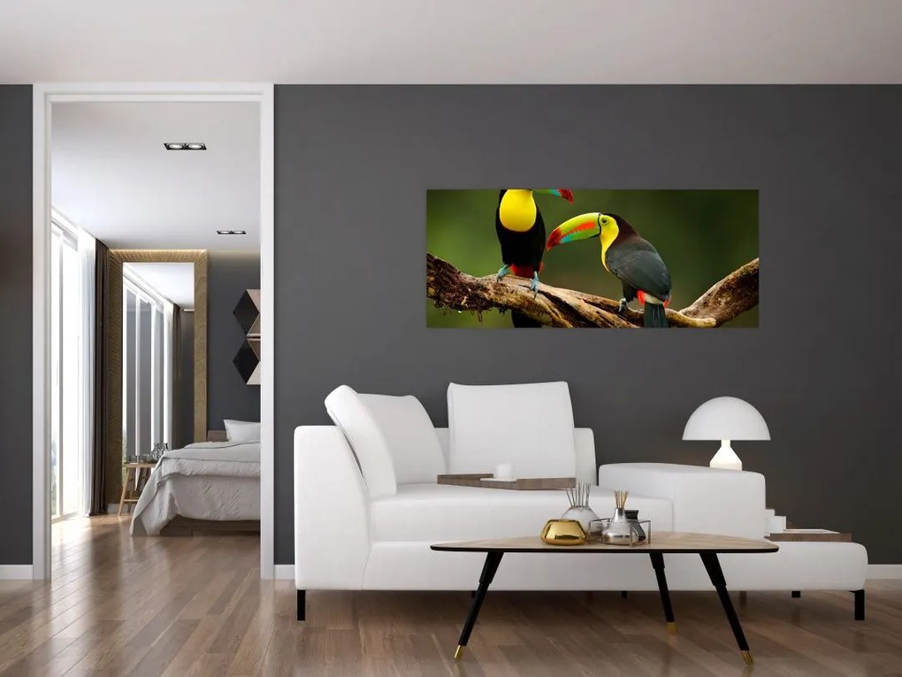 Obraz sediacich tukanov, Costa Rica (120x50 cm)
