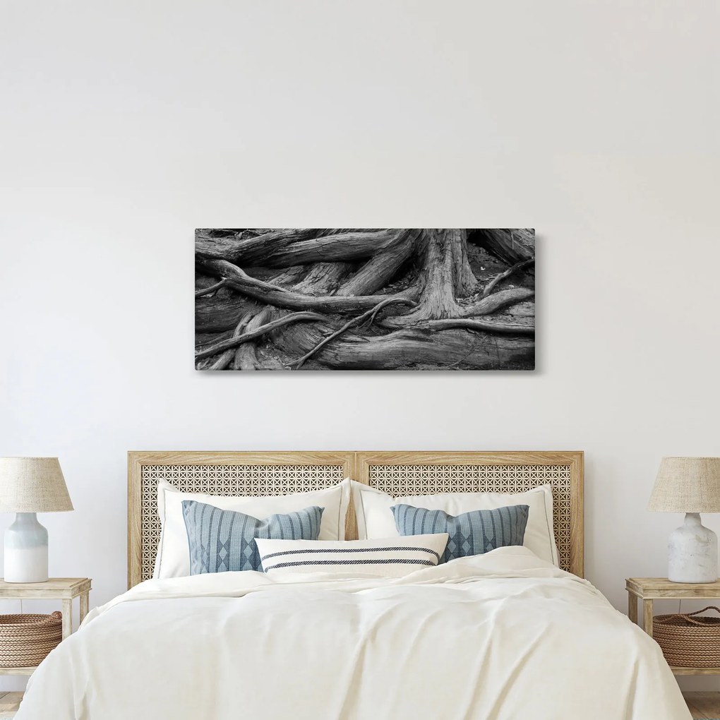 Obraz - Korene stromu (120x50 cm)