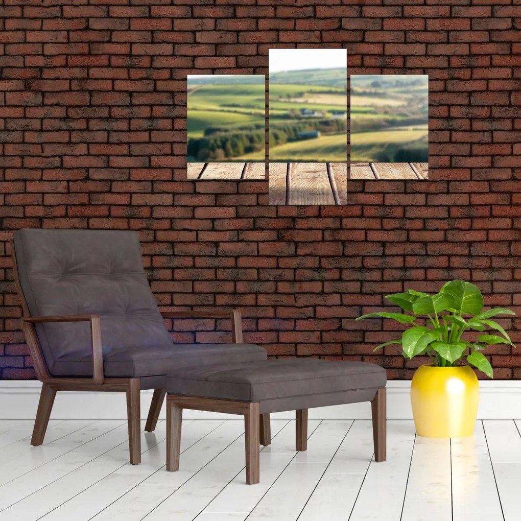 Obraz - Drevená polica s krajinou (90x60 cm)