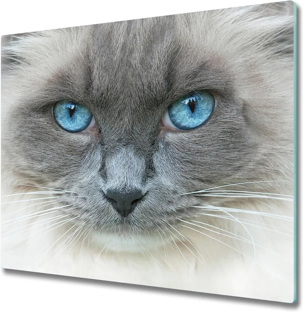 Sklenená doska na krájanie  Mačka s modrými očami