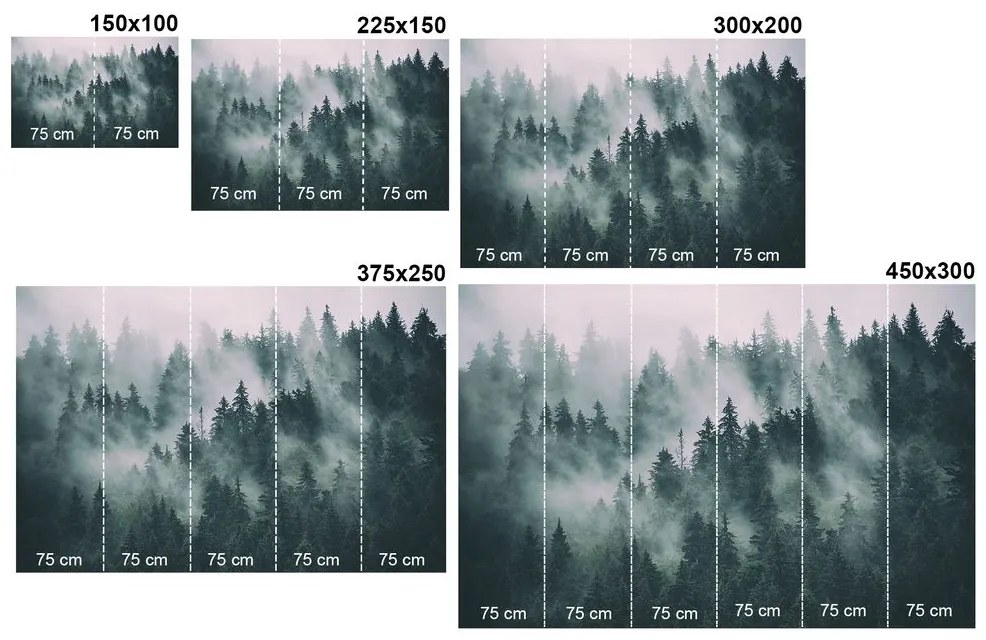 Samolepiaca fototapeta čiernobiely les zahalený snehom - 150x100