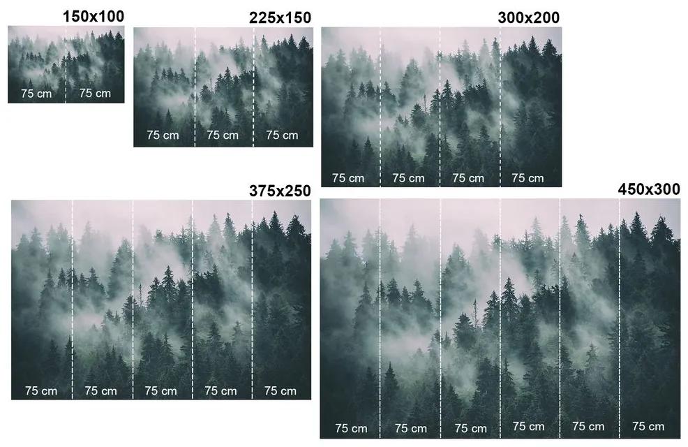 Samolepiaca fototapeta čiernobiely les zahalený snehom - 450x300