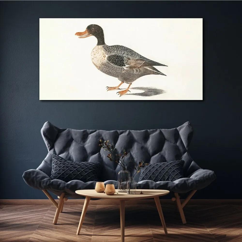 Obraz na plátne Kreslenie vták kačica
