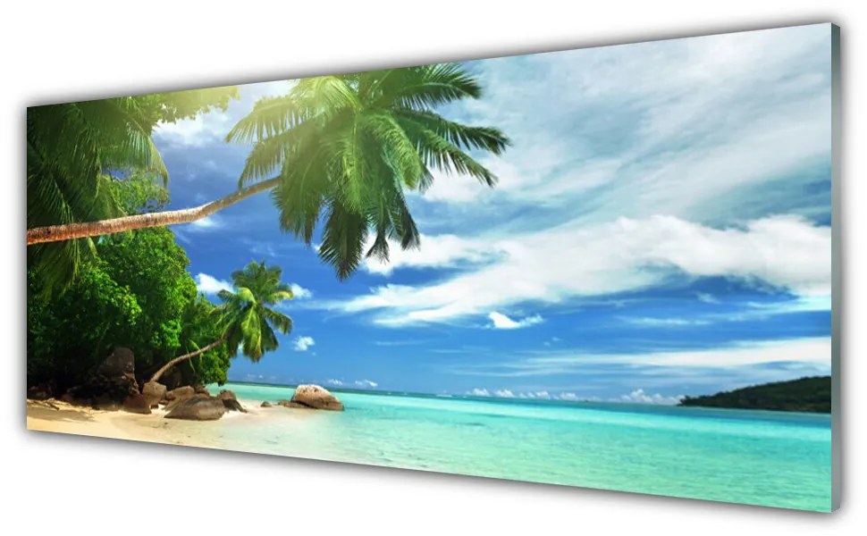Obraz plexi Palma pláž more krajina 125x50 cm