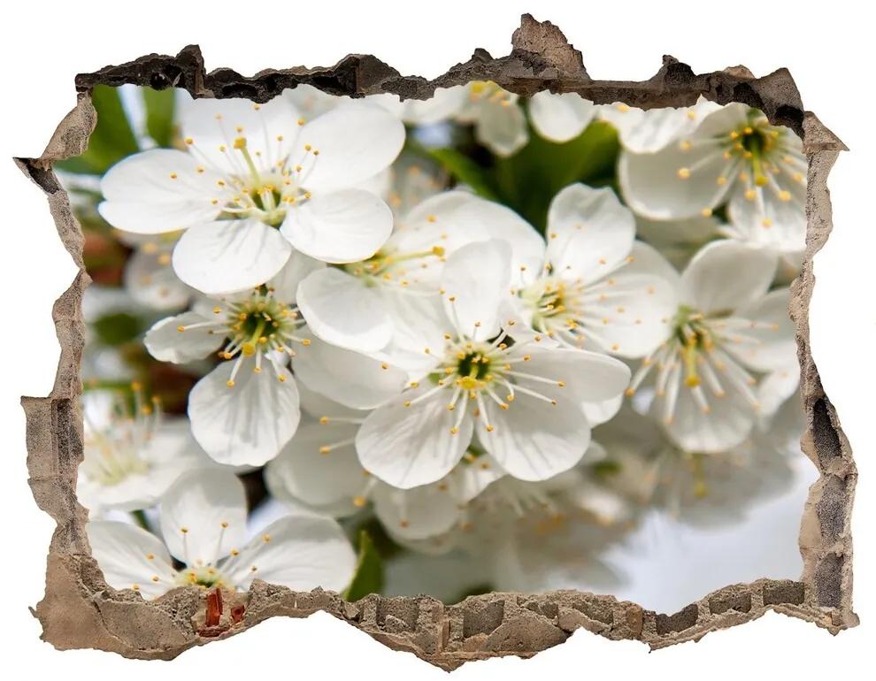 Samolepící díra nálepka Čerešňové kvety nd-k-85335086