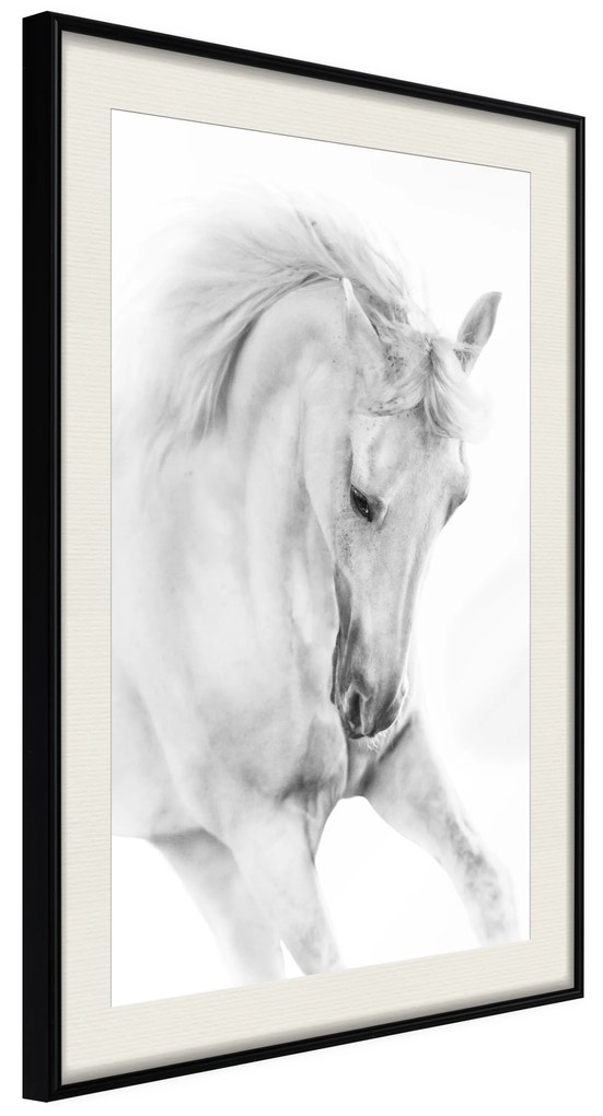 Artgeist Plagát - White Horse [Poster] Veľkosť: 30x45, Verzia: Zlatý rám s passe-partout