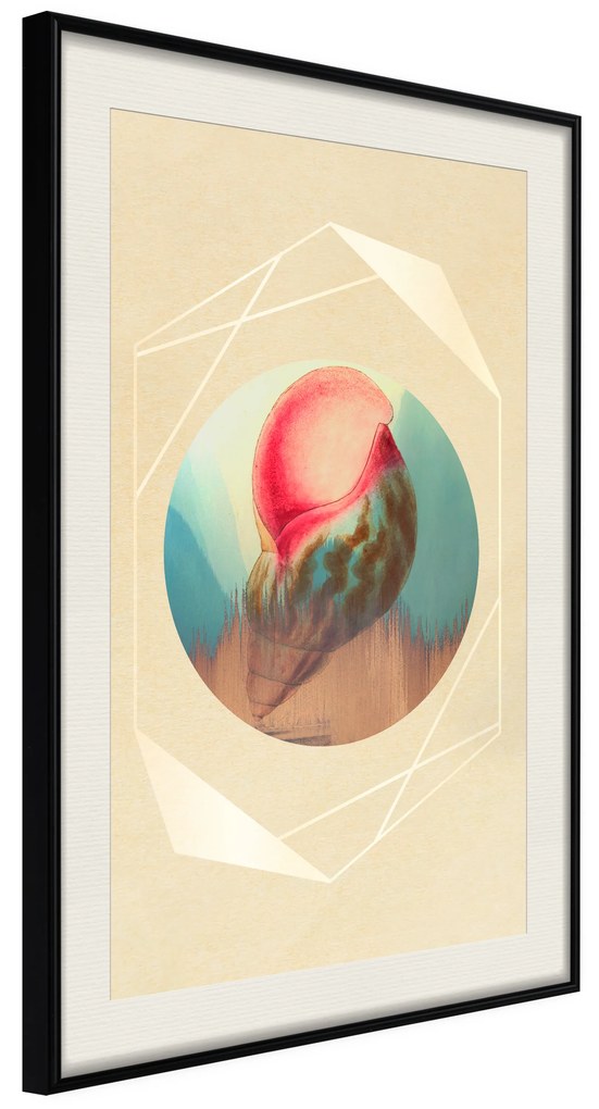 Artgeist Plagát - Seashell [Poster] Veľkosť: 20x30, Verzia: Čierny rám s passe-partout