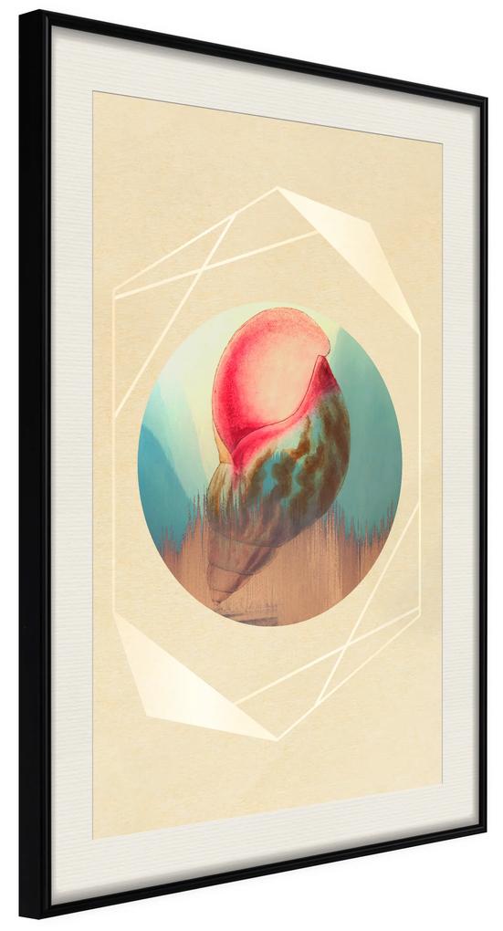 Artgeist Plagát - Seashell [Poster] Veľkosť: 30x45, Verzia: Zlatý rám