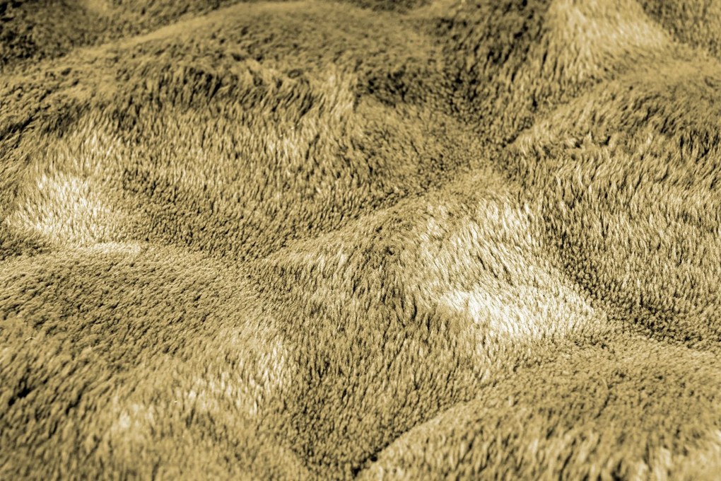 Obsession, Kusový koberec Diamond Cut 800 Honey kruh, 200x200 (priemer) kruh, hnedá, obývacia izba