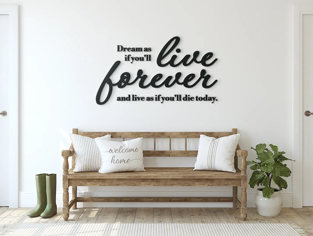 drevko Drevený citát Dream as if you’ll live forever Rozmer obrazu: 47 x 84 cm, Farba dekorácie: Čierna