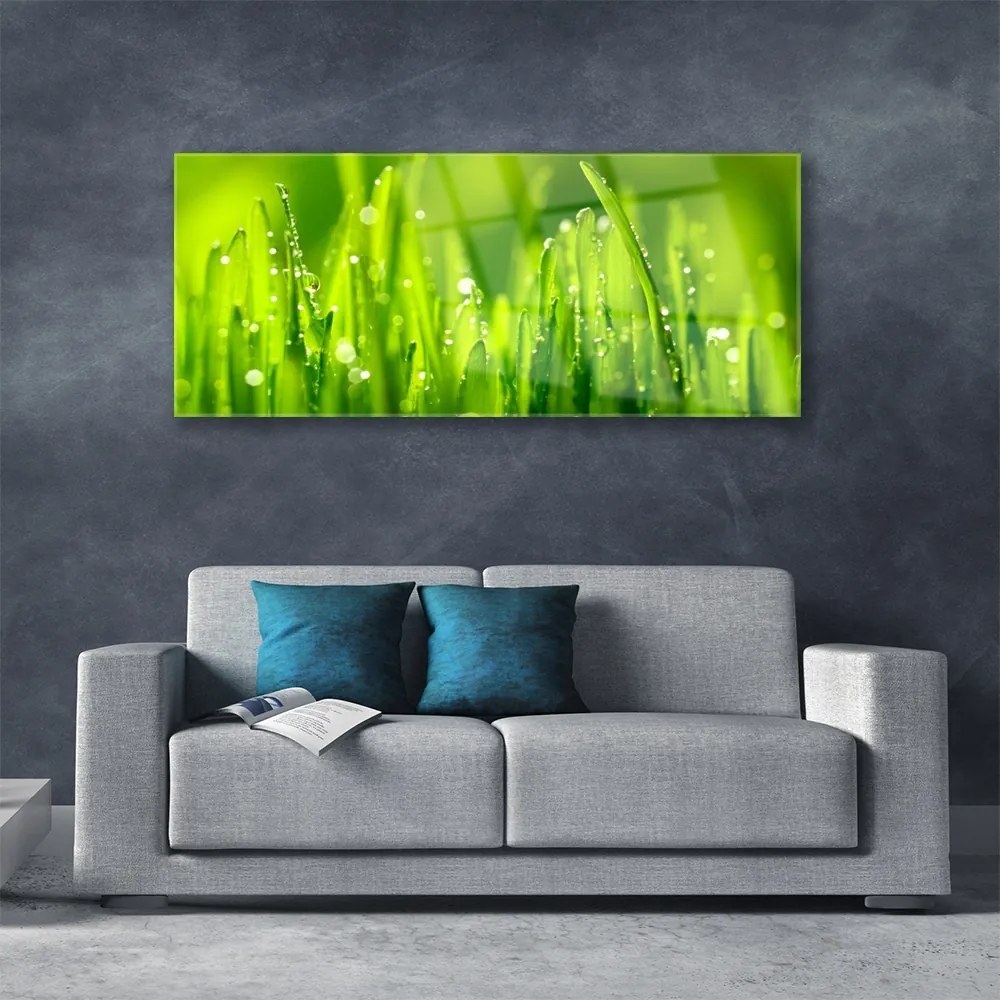 Obraz plexi Zelená tráva kvapky rosy 125x50 cm