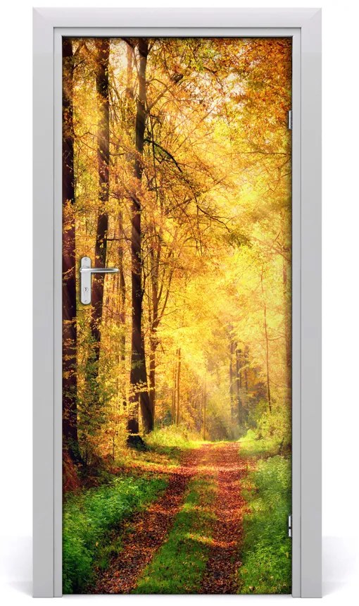 Fototapeta na dvere les jeseň 75x205 cm