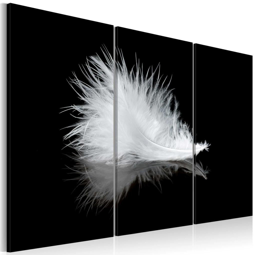 Artgeist Obraz - A small feather Veľkosť: 90x60, Verzia: Premium Print