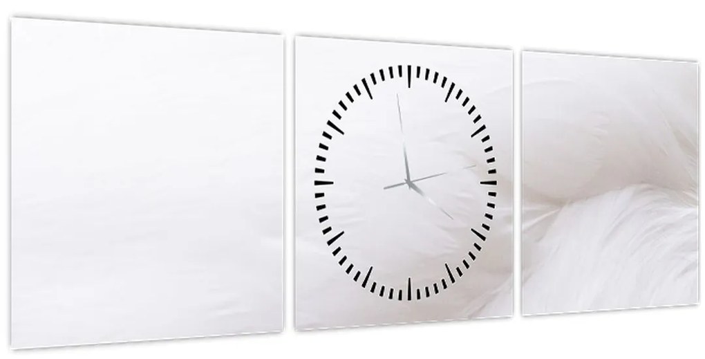 Obraz - Biele pierko (s hodinami) (90x30 cm)