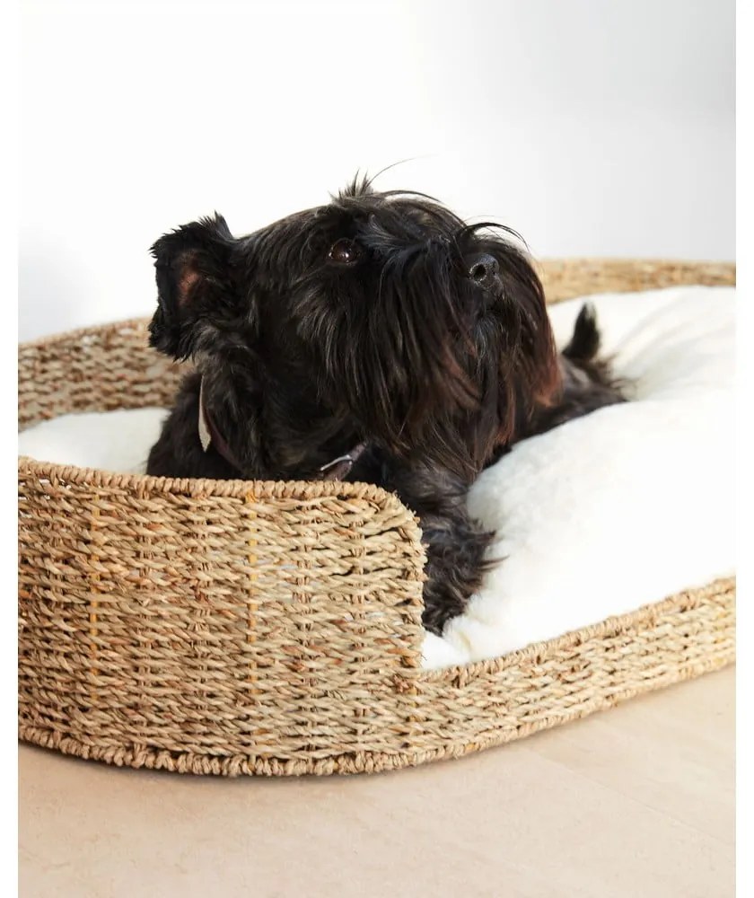 Biely pelech pre domáceho miláčika 50x80 cm Codie – Kave Home