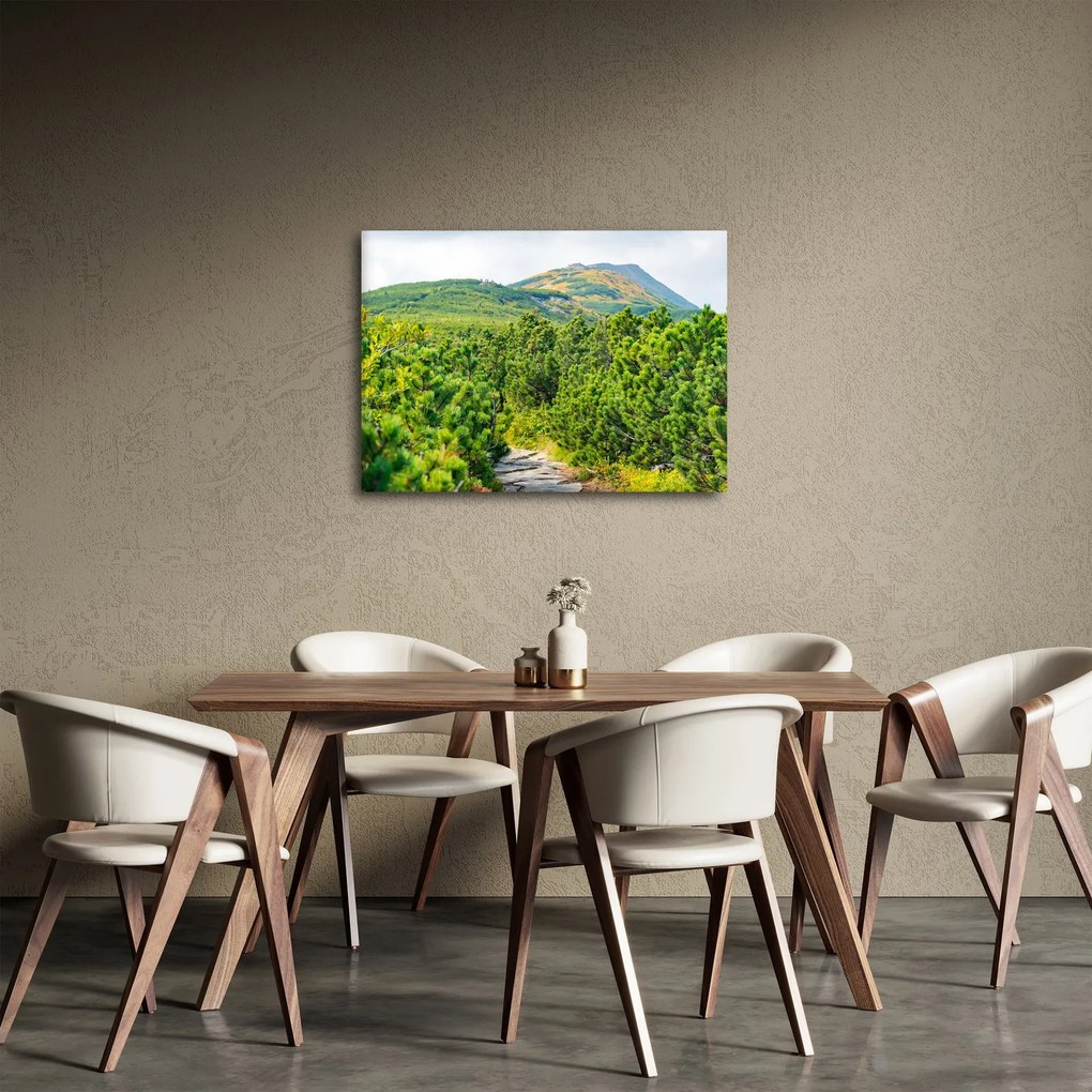 Obraz - Babi Hora, Poľsko (70x50 cm)