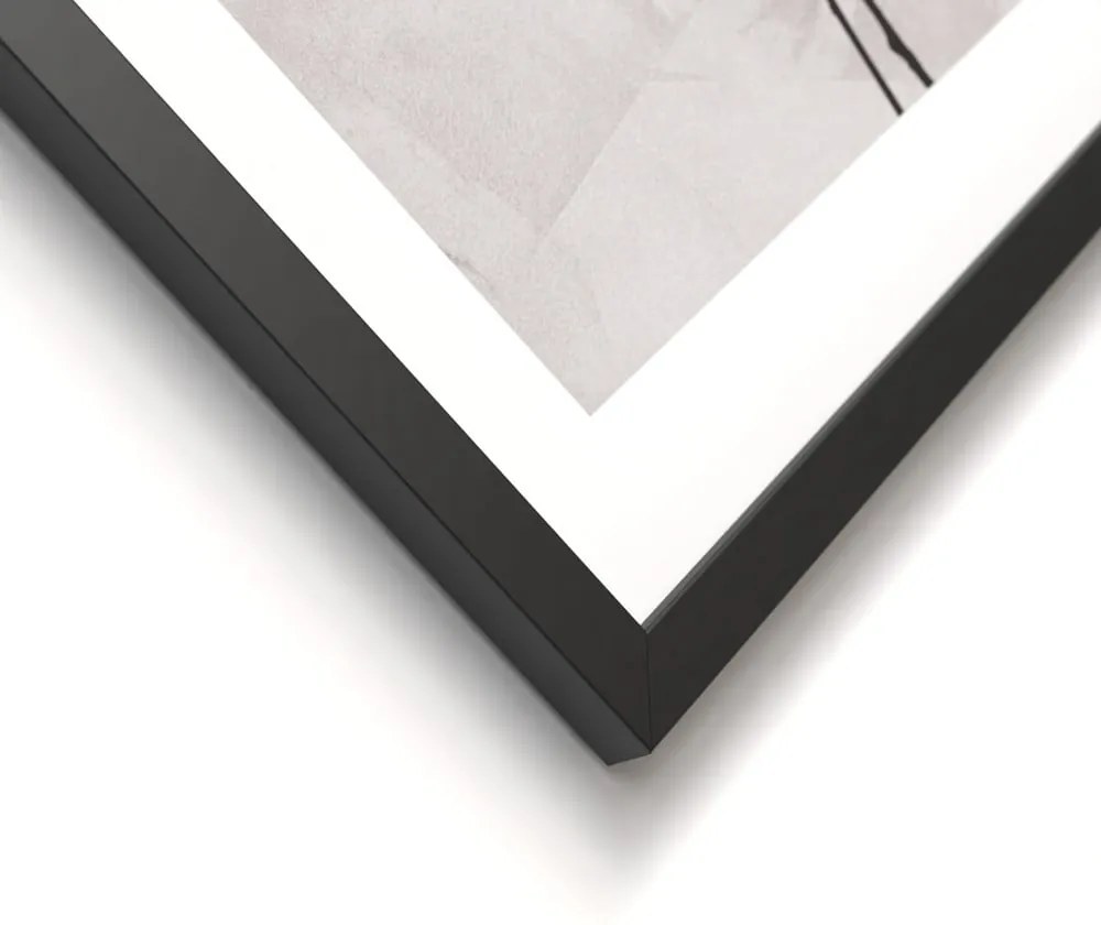 Obrazy v súprave 2 ks 30x40 cm Charm – Styler