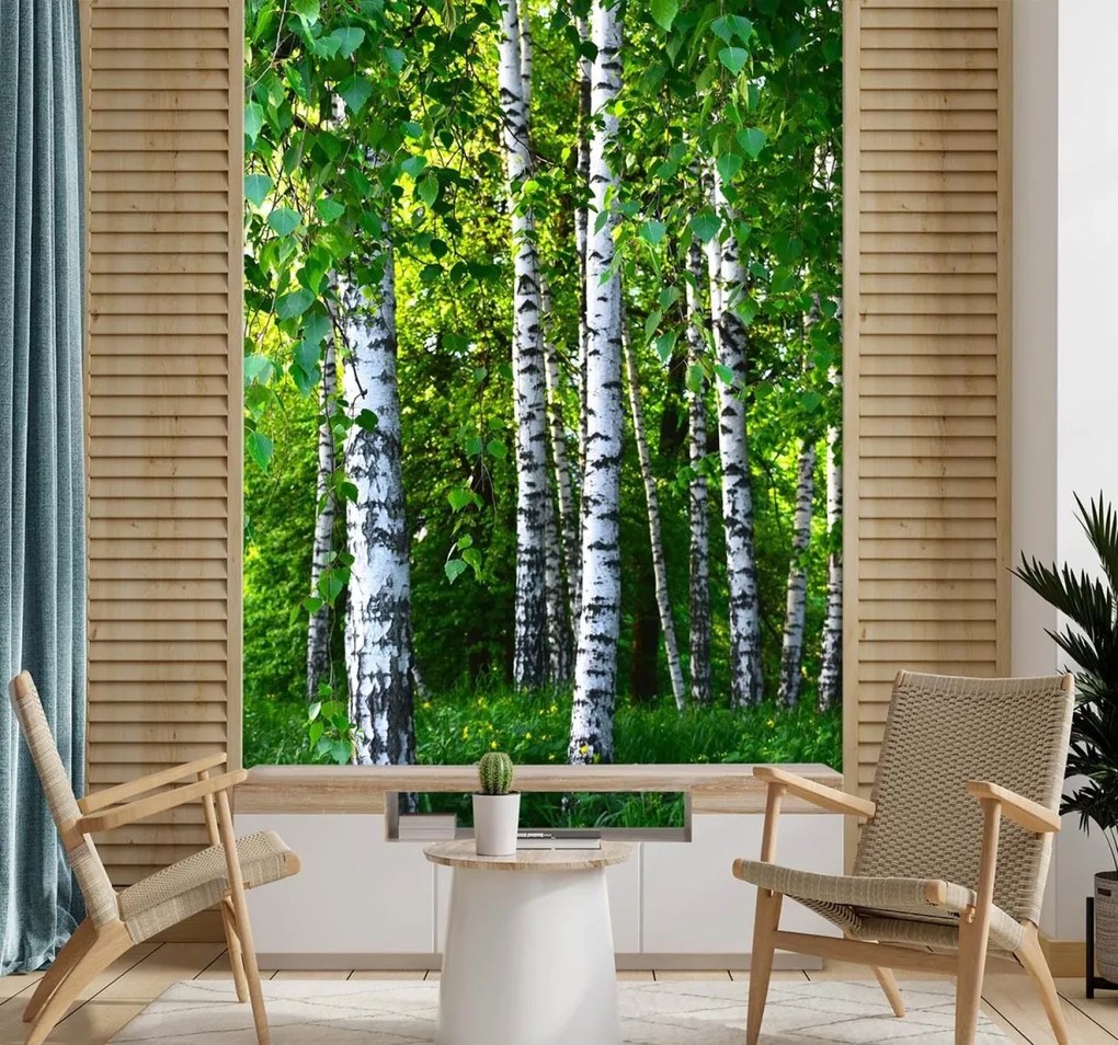 Fototapeta, Bříza lesní příroda - 100x140 cm