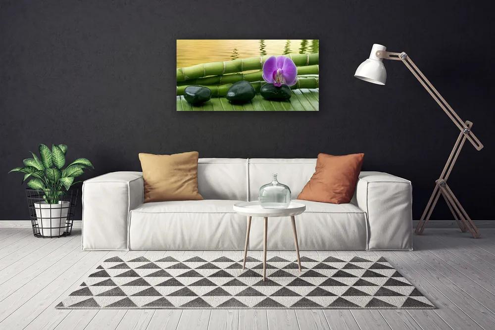 Obraz na plátne Kvet kamene bambus príroda 120x60 cm