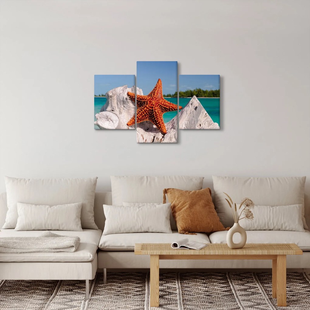 Obraz morskej hviezdice (90x60 cm)