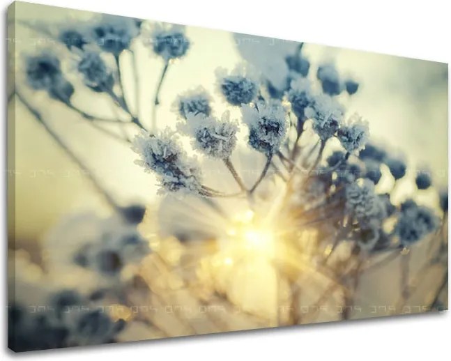 Obraz na stenu KVETY KV068E11 - 80x120 cm