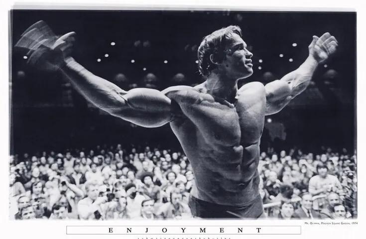 Plagát, Obraz - Arnold Schwarzenegger - Enjoyment, (91.5 x 61 cm)