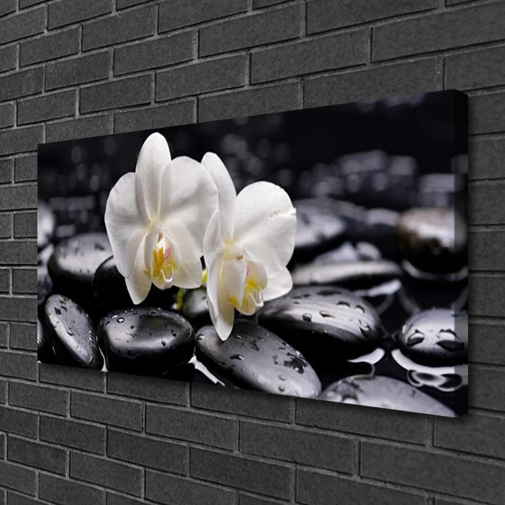 Obraz Canvas Kamene zen biela orchidea 120x60 cm
