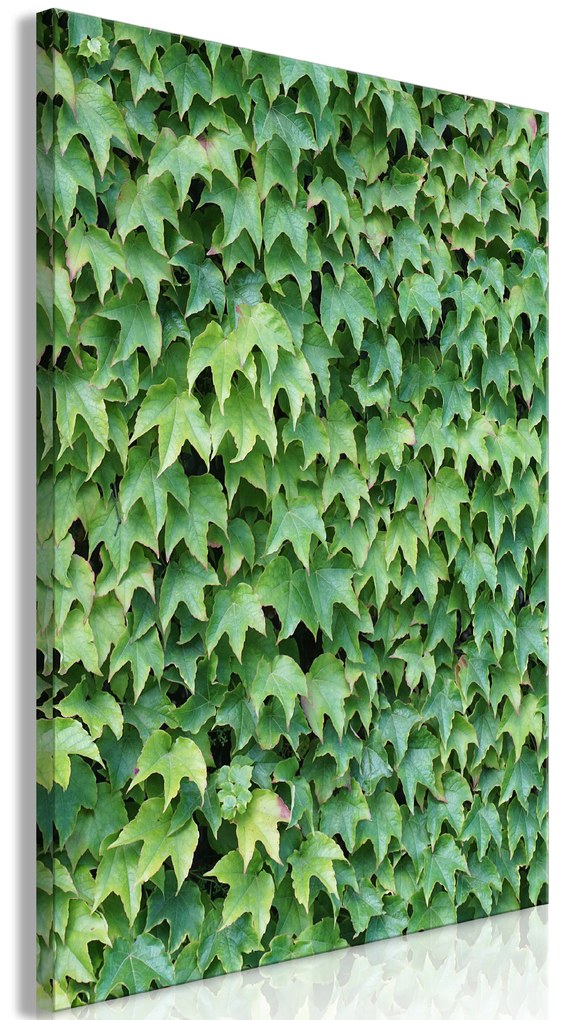 Artgeist Obraz - Thick Ivy (1 Part) Vertical Veľkosť: 80x120, Verzia: Na talianskom plátne