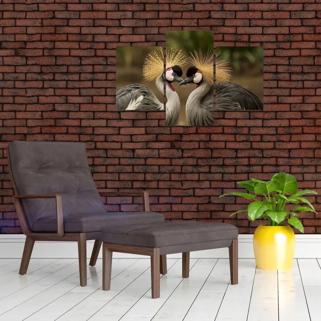 Obraz na stenu - zvieratá