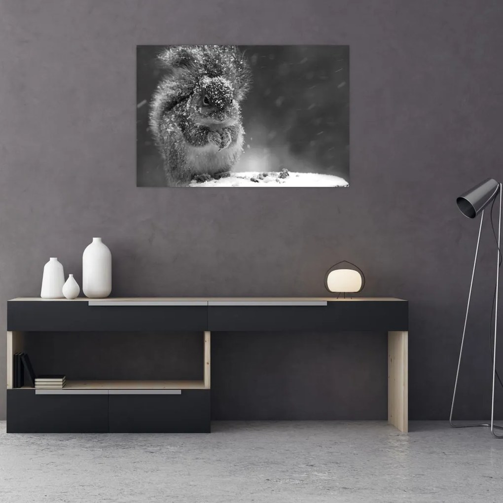 Obraz - Veverička v zime (90x60 cm)