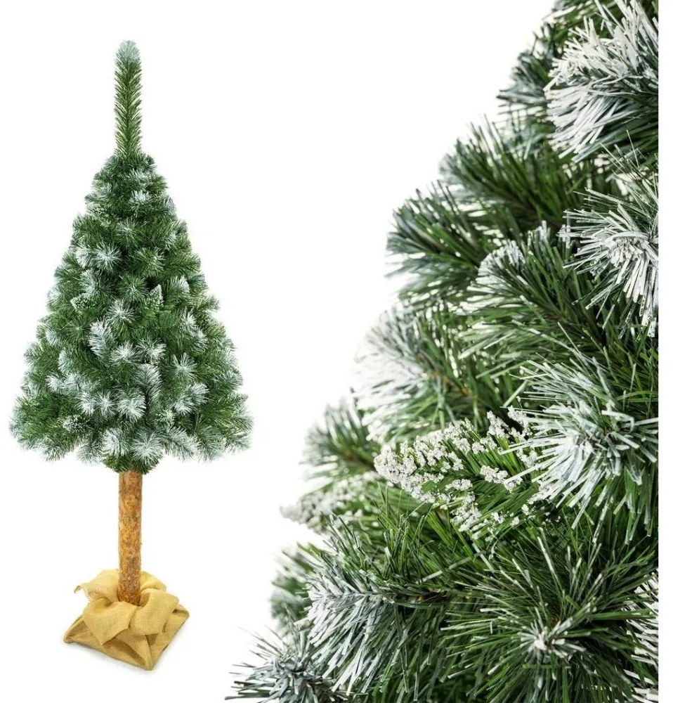 Vianočný stromček na kmeni 220 cm borovica