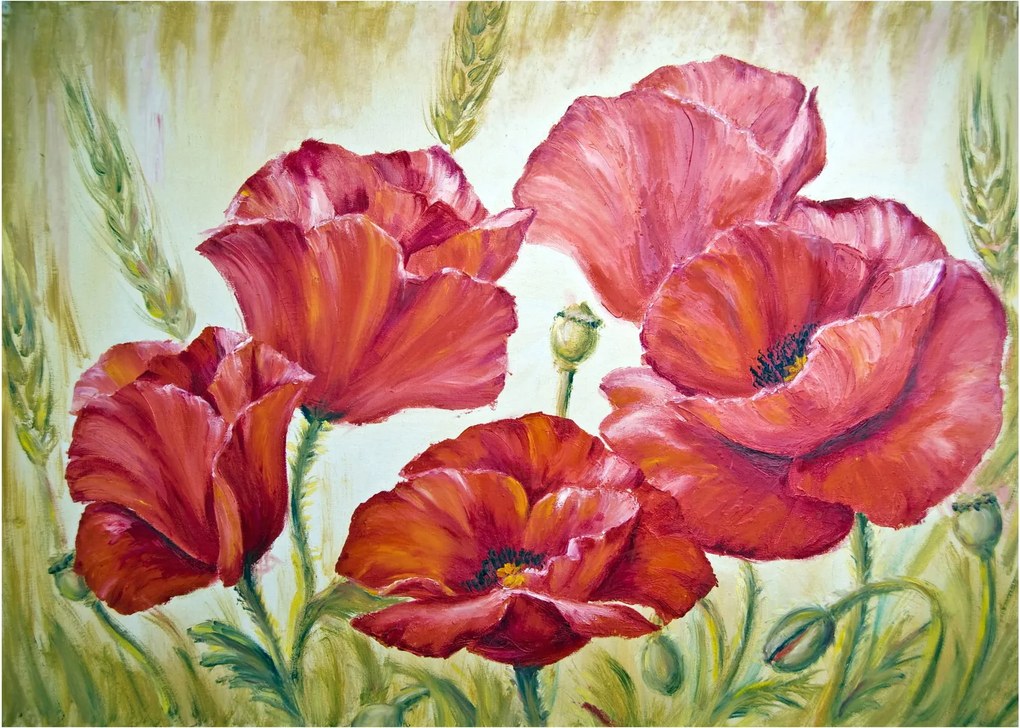 Sklenený obraz - Kvety vlčích makov (70x50 cm)