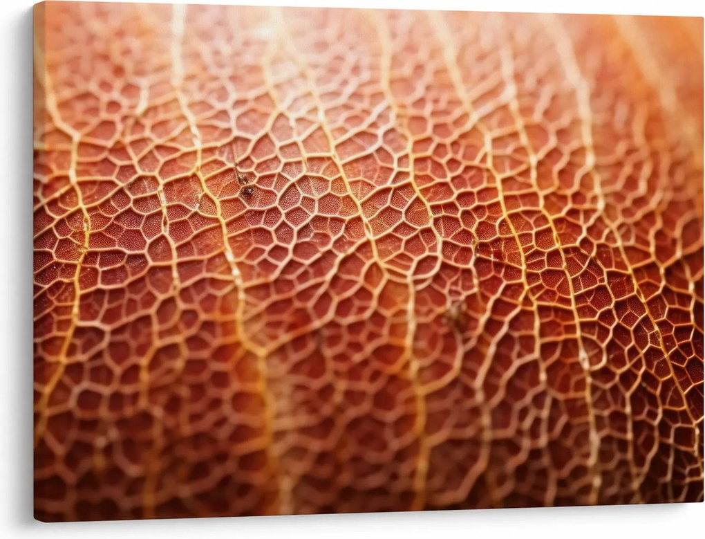 Obraz - Detail textúry (70x50 cm)