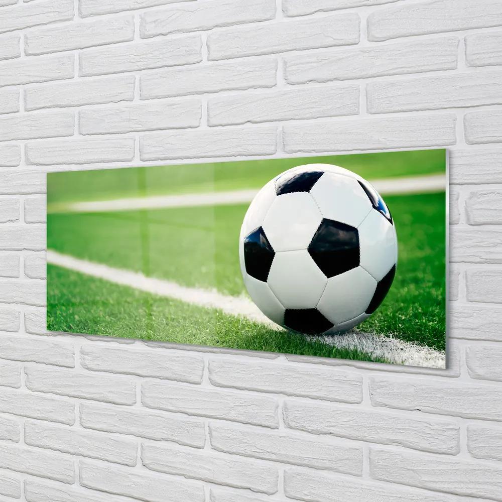 Obraz plexi Futbalový trávnik 120x60 cm