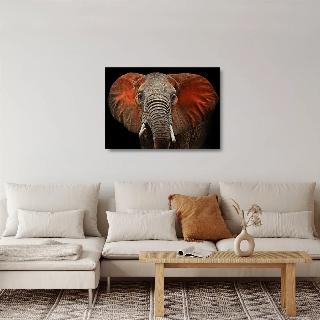 Sklenený obraz - Slony z Tsavo (70x50 cm)