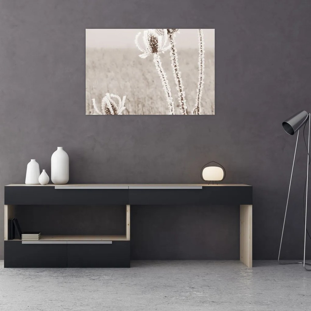 Obraz - Bodliak v zime (90x60 cm)