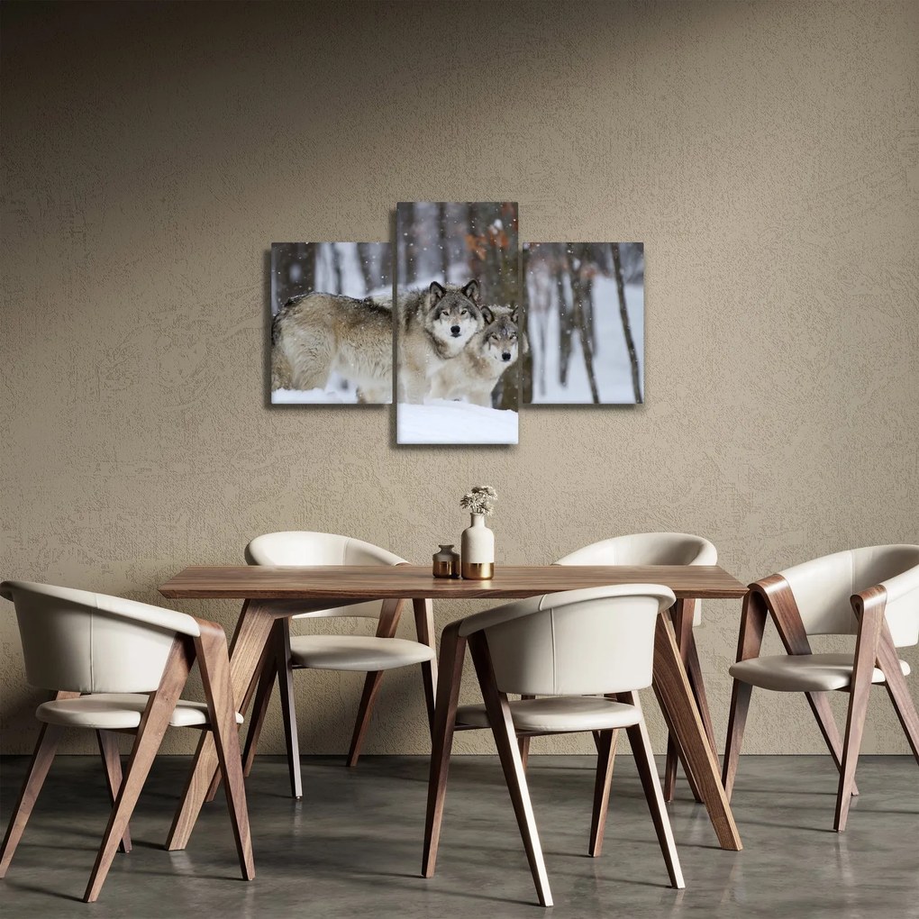 Obraz - Vlci v zime (90x60 cm)